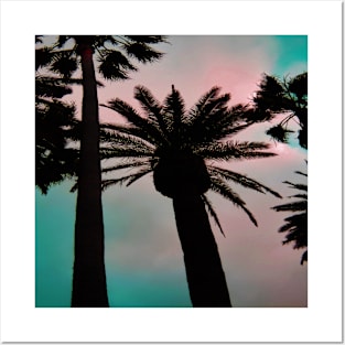 Palm Trees Looking up in a Cotton Candy Sky Posters and Art